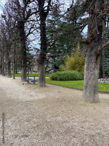 Park and garden, jardin du Palais du Luxembourg . PARIS FRANCE