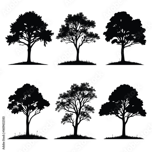 Six diverse tree silhouettes with detailed foliage and textured trunks trees black and white