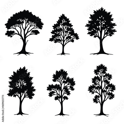 Six Silhouettes Of Trees With Detailed Branches And Leaves black and white nature