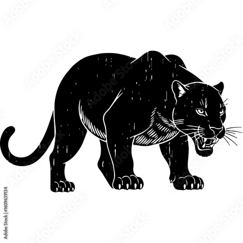 Majestic Black Panther Predator Illustration in Vintage Woodcut Style with Distressed Texture on White Background