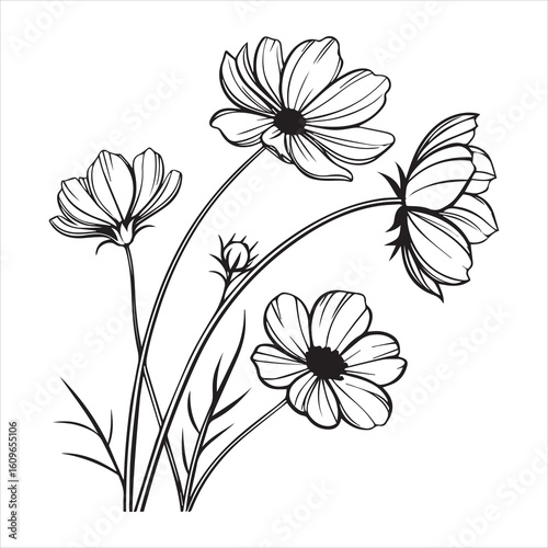 chocolate cosmos flower silhouette vector