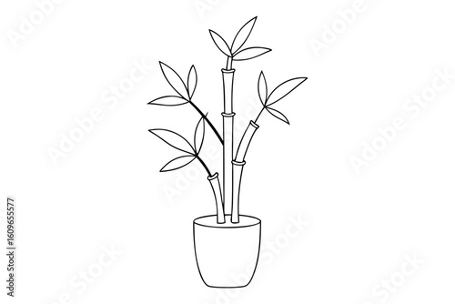 Chinese New Year Lucky Bamboo Plant in Minimal Line Art Style