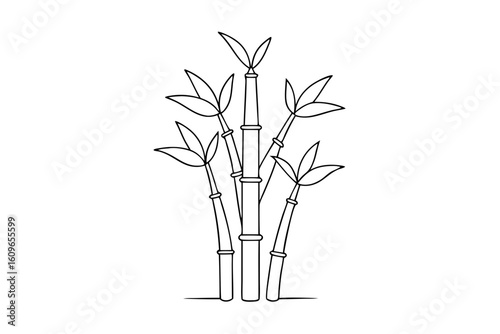 Lucky Bamboo Line Drawing for Chinese New Year Decoration