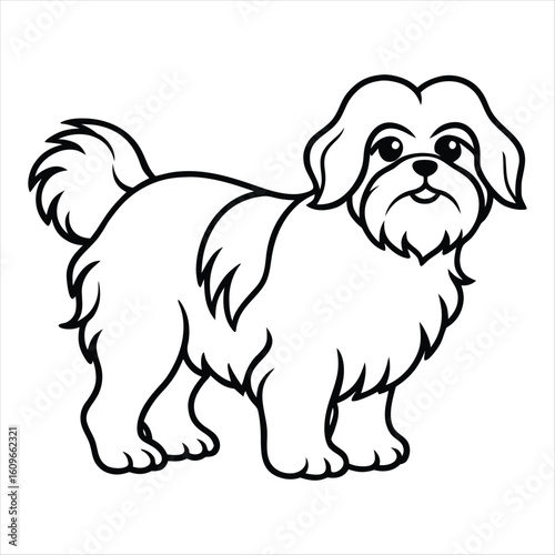 Cute shih Tzu dog cartoon outline