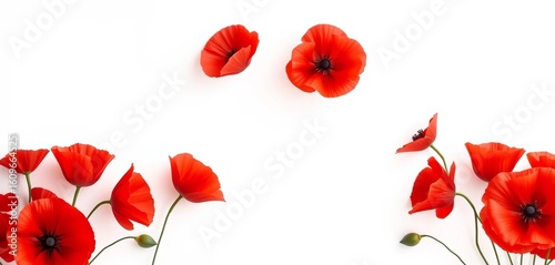 Elegant red poppy banners on white background; perfect for cards & invitations, anniversary, banner
