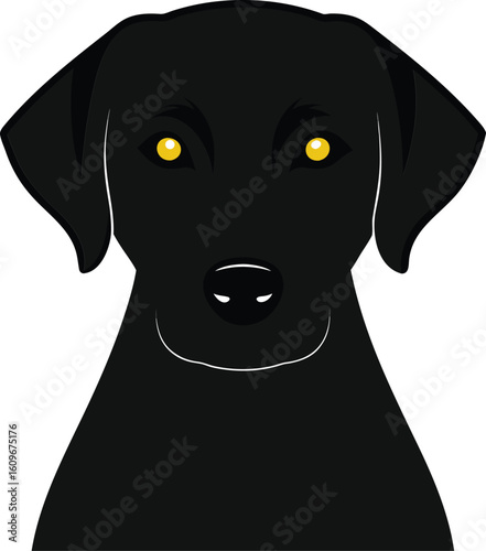 Black dog with glowing yellow eyes animal canine