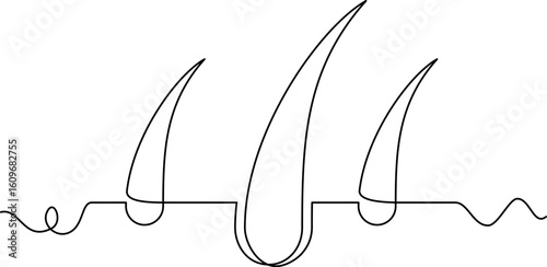 one line art Hair vector illustration. line art, one continuous line, simple, hand drawn and sketch style. for icons, symbols, signs or logos. PNG