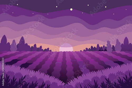 field of lavender at twilight
