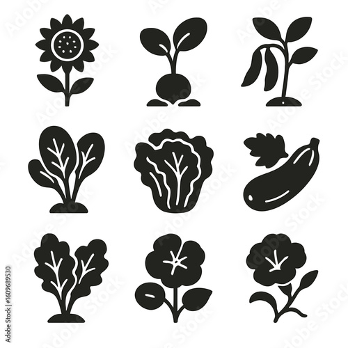 Fast-Growing Plant Icons. Solid style icons of fast-growing plants: sunflower, radish sprout, beans, spinach, lettuce, zucchini,