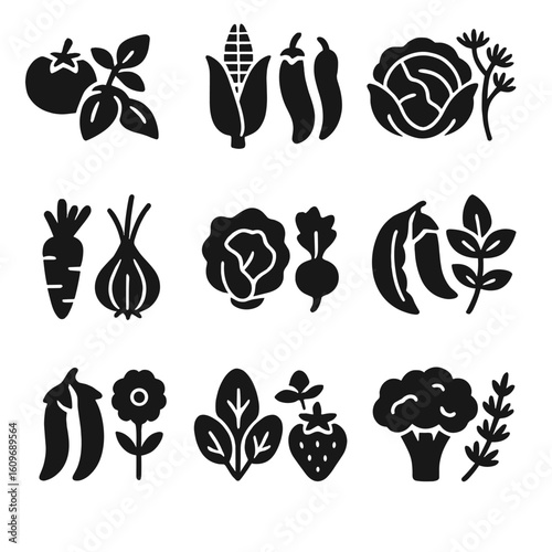 Companion Planting Icons. Solid style icons of companion planting signs: tomatoes with basil, corn with beans, cabbage with dill,
