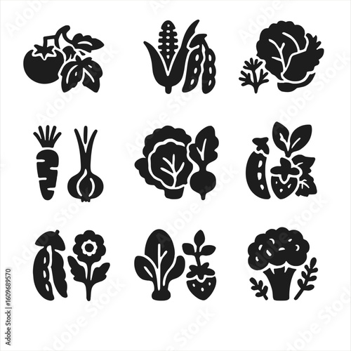 Companion Planting Icons. Solid style icons of companion planting signs: tomatoes with basil, corn with beans, cabbage with dill,