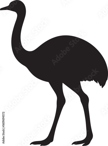 Emu Silhouette Vector Illustration - Black Flightless Bird Outline