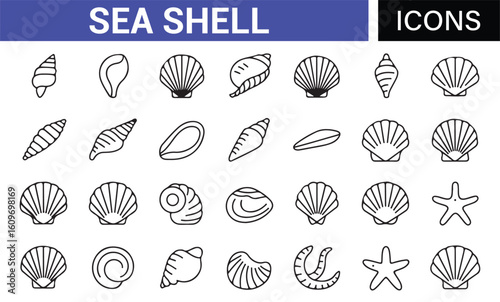 Ocean Life Shell Icons for Marine Ecosystems and Coastal Environments