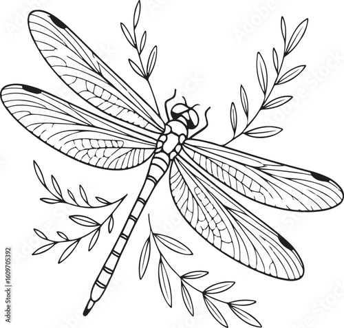 Hand Drawn Dragonfly Line Art Insect Design