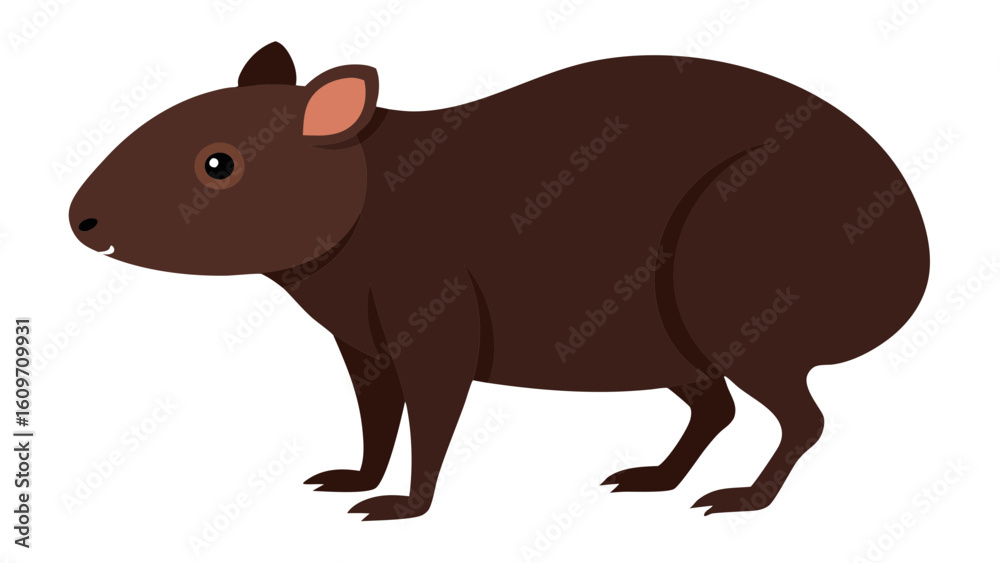 Obraz premium Realistic agouti forest rodent vector artwork