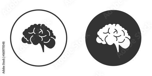 Brain icon symbol sign in solid style.