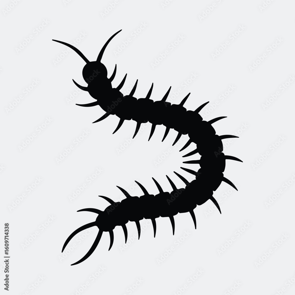 Fototapeta premium Silhouette centipede crawling insect creepy crawly arthropod vector illustration