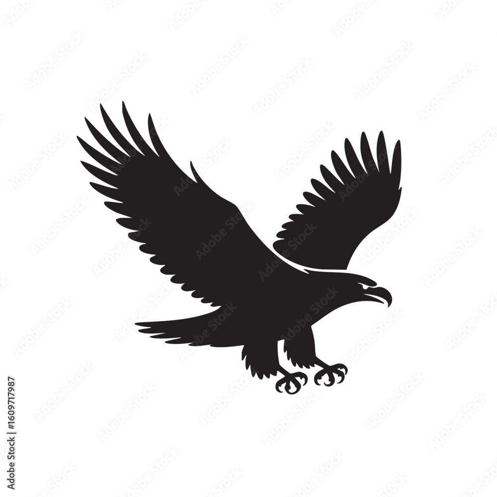 Obraz premium Majestic eagle soaring with outstretched wings and talons bird flight