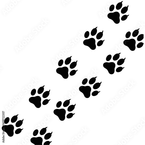 Diagonal Trail of Black Canine Paw Prints