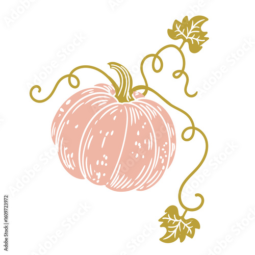 Original hand-drawn illustration of a Halloween autumn pumpkin in a minimalist style. illustrations for posters, cards, and graphic design.