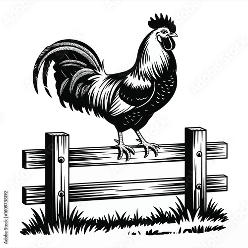 Rooster perched on a wooden fence in a rustic farm scene