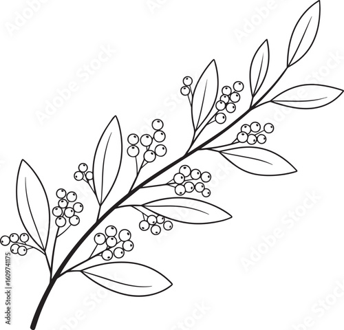 A minimalist black line art illustration of a botanical branch with pointed leaves and clusters of small, round berries.