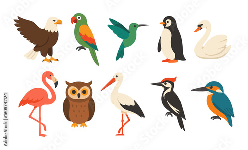 Colorful bird collection in flat style featuring diverse species