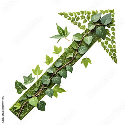 Green arrow shape formed by growing plants and leaves