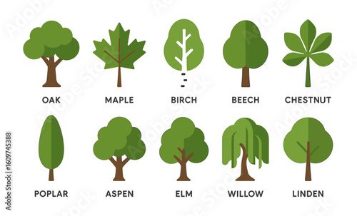 Flat style tree icons featuring various tree species for nature and ecology themes