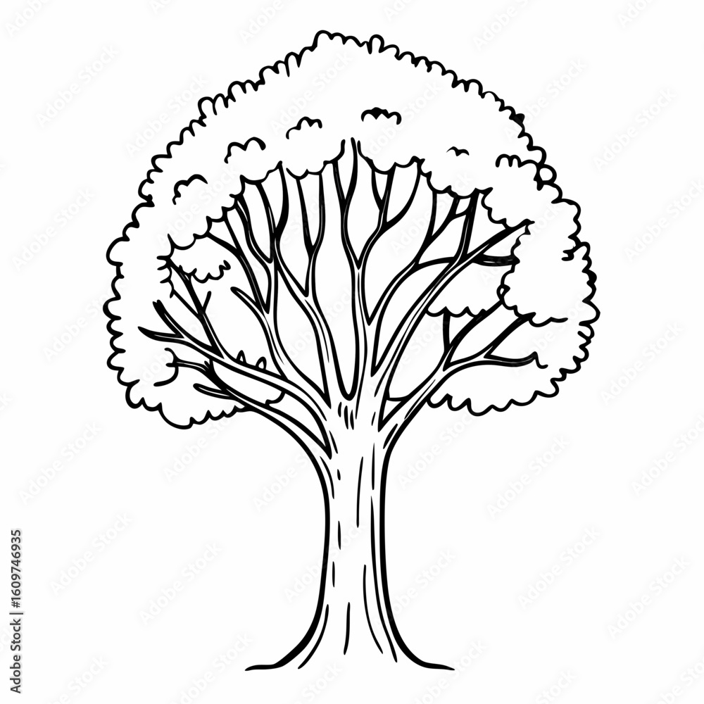 Naklejka premium Illustration of a deciduous tree with a full canopy and a thick trunk in black and white outline style