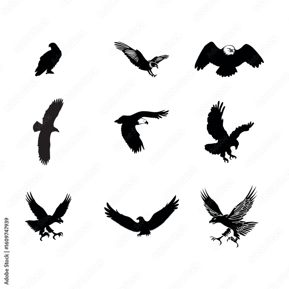 Obraz premium Eagle Silhouette and Head Vector Set