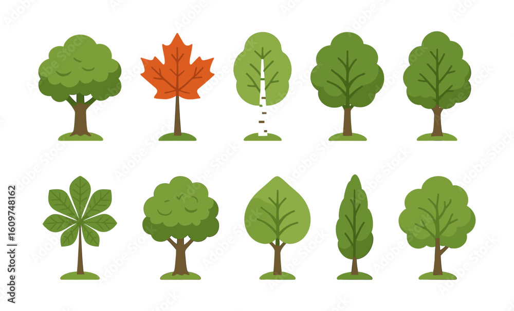 Fototapeta premium Set of various tree icons featuring oak, maple, birch, and more in flat design style