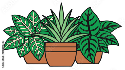 Collection of various potted house plants silhouette set in graphic illustration style black and white
