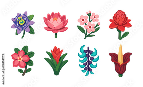 Collection of unique colorful flowers in minimalist style