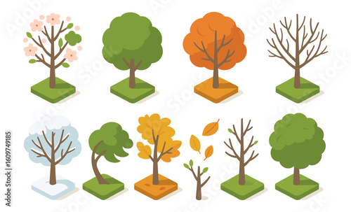 Isometric seasonal trees set: spring to winter transformations in nature