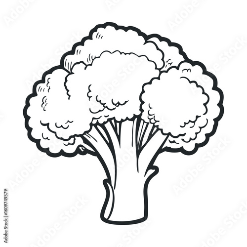Black and white broccoli illustration with detailed line art