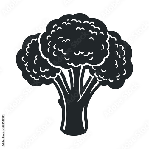 Black and white broccoli illustration of fresh vegetable silhouette