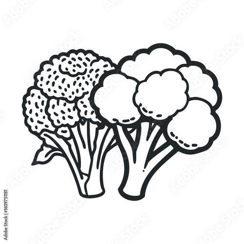 Black and white broccoli illustration with two detailed florets