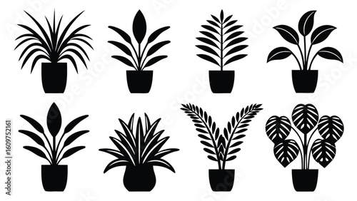 Collection of various potted house plants silhouette set in graphic illustration style black and white