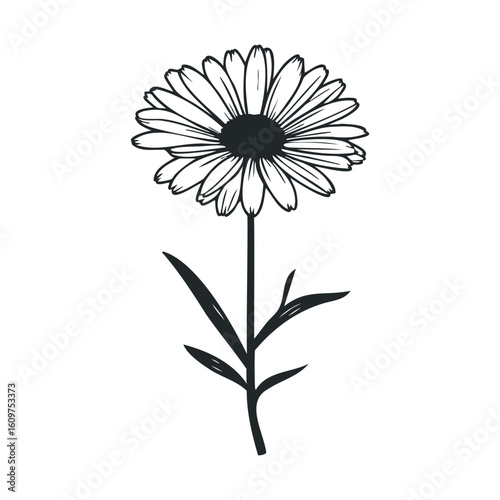 Black and white daisy illustration with detailed petals and stem
