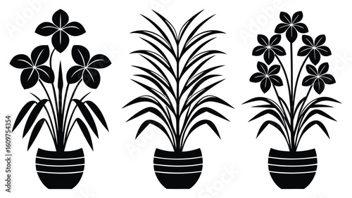 Collection of various potted house plants silhouette set in graphic illustration style black and white