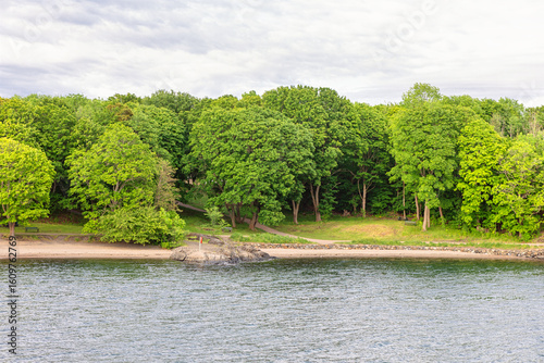 Fototapeta Naklejka Na Ścianę i Meble -  Tranquil shoreline scene with lush greenery meeting the calm water. Coastal parkland in Norway surrounded by mature trees