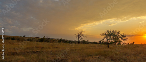 Vibrant summer mountains landscape - warm sunset meadows in highlands