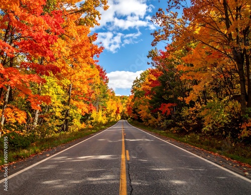 Autumn road through vibrant forest
