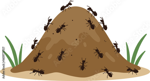 Busy ant colony on an anthill, working insects, teamwork and organization, insect life cycle, nature illustration, animal behavior, pest control concepts, underground tunnels.