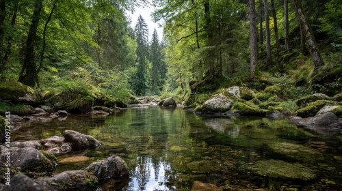 Fotografia A tranquil forest stream flows gently between mossy rocks and lush green trees reflecting the sky