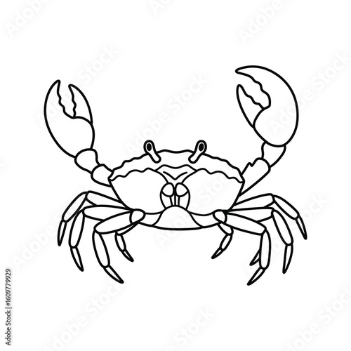Line art crab illustration black and white sea creature ocean animal crustacean drawing