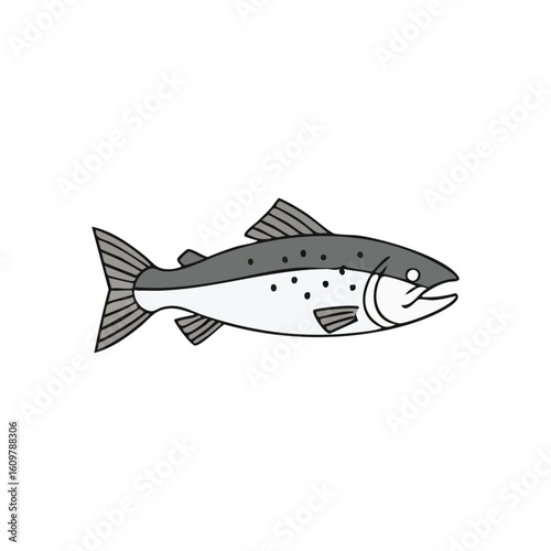 Salmon Aquatic Fish Graphic. Clean vector art depicting a freshwater creature, symbolizing health and vitality. Ideal for nature, culinary, or angling designs.