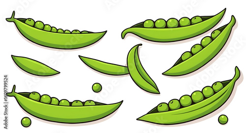  Garden peas, Organic peas, Peas isolated, Fresh vegetables, Green vegetable vector, Peas icon, Peas clipart, Peas in pod, Healthy peas, Natural peas, Raw peas, Vegan food vector, Green legume, Peas p