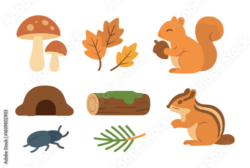 Forest Floor Creatures. Flat vector mini-illustrations forest floor exploration in colors children's